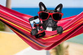 vacances-2020