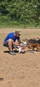 Adhérent accroupi avec deux chiots sur le terrain