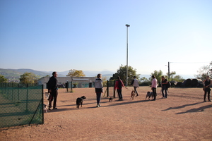 Vue du terrain d'éducation avec plusieurs binômes humain-chien