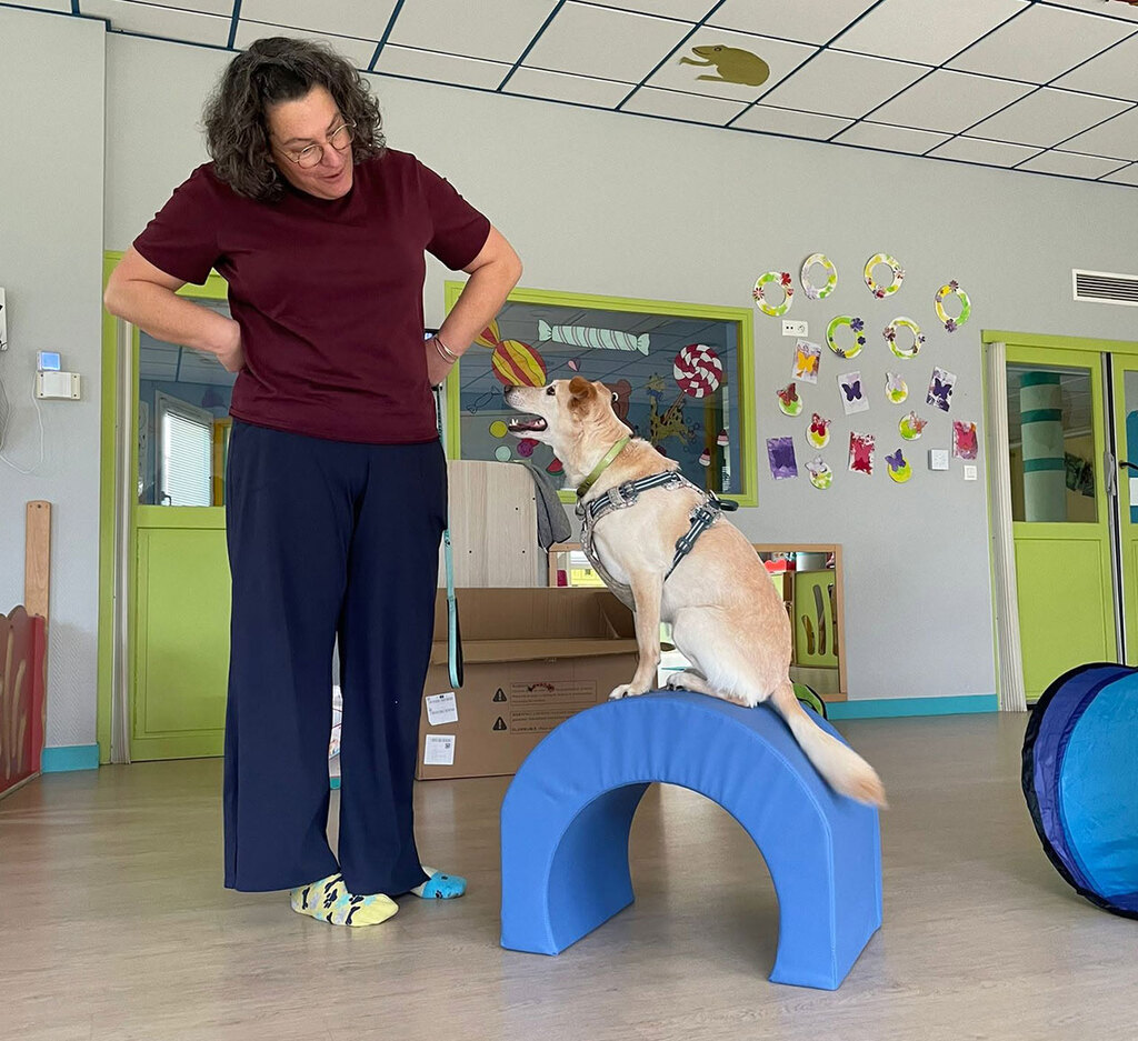 Monitrice guidant un chien en équilibre sur une arche en mousse, en salle