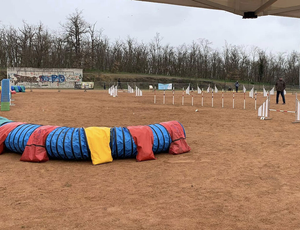 Tunnels d'agility installés sur le terrain du club
